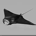 Manta Ray Unique Graceful Marine Animal With Broad Pectoral Fins And Long Tail