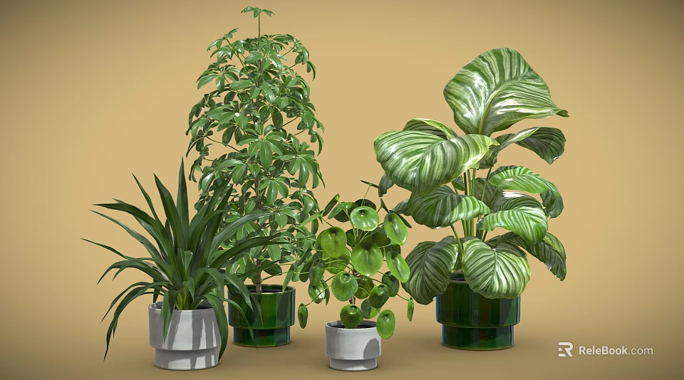 Various Potted Plants with Different Leaf Types in Green and Gray Ceramic Pots 3d model 