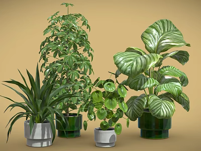 Various Potted Plants with Different Leaf Types in Green and Gray Ceramic Pots 3d model