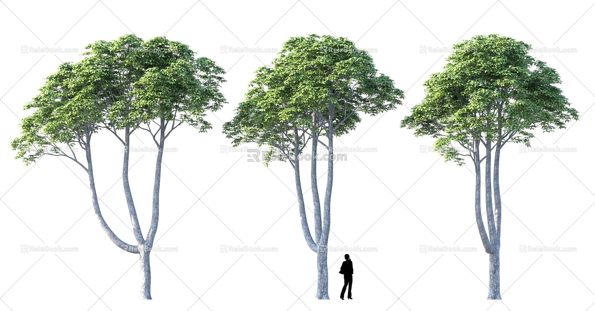 Garden Trees Landscape Trees Tree Pond Flower beds Street Trees Alien Plants model