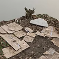 Scattered Cardboard Pieces On Dirt Ground With Fallen Leaves Near Tree Trunk And Water Edge