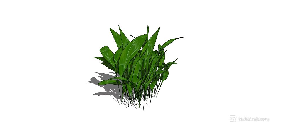 Vibrant Green Shrub With Lush Leaves For Garden Landscaping Design 3d model 