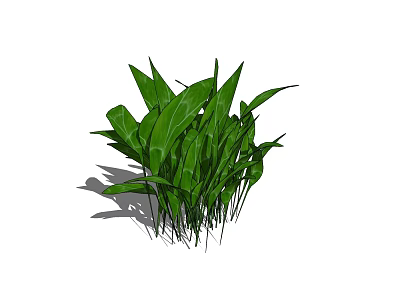 Vibrant Green Shrub With Lush Leaves For Garden Landscaping Design 3d model