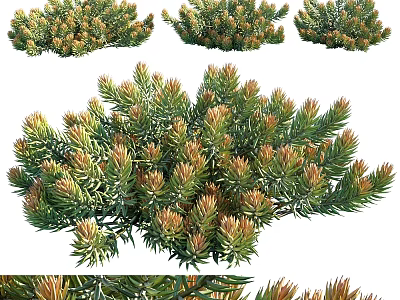Green Brown Leafy Decorative Ornament Set For Home Interior Decoration 3d model