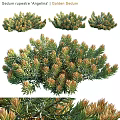 Green Brown Leafy Decorative Ornament Set For Home Interior Decoration