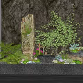 Indoor Landscape With Black Rectangular Base Various Plants Large Stone Small Pebbles And Dark Wall Background