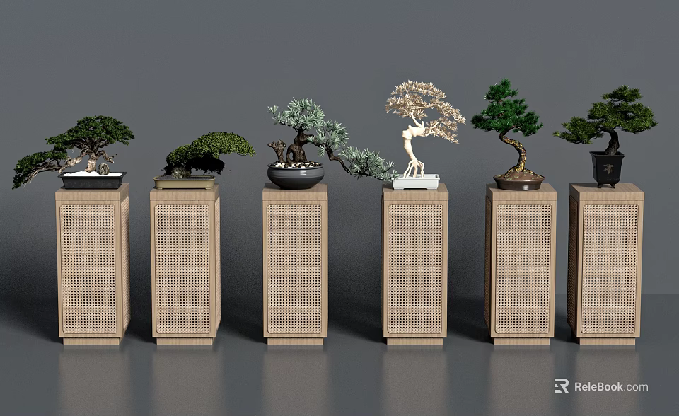 Six Bonsai Plants with Various Styles on Light Wooden Grid Design Stands Against Gray Background 3d model 