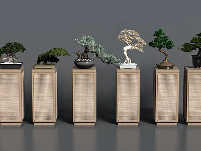 Six Bonsai Plants with Various Styles on Light Wooden Grid Design Stands Against Gray Background 3d model