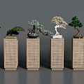 New Chinese-style Rattan Set Table Pine Bonsai 3d model