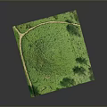 Green Lawn Surface With Pathway And Tree Shadows In Open Area
