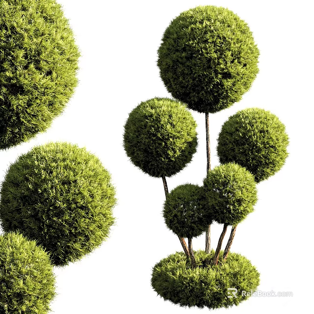 Lush Green Bonsai Potted Plants With Multiple Round Shaped Foliage Balls 3d model 