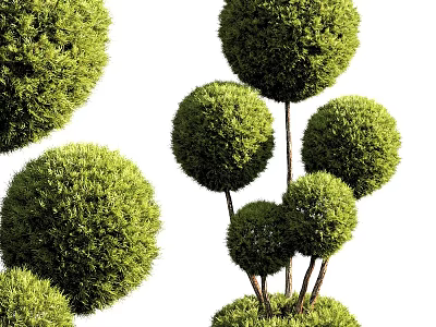 Lush Green Bonsai Potted Plants With Multiple Round Shaped Foliage Balls 3d model