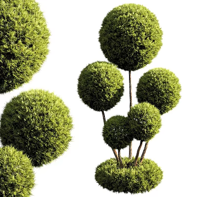 Lush Green Bonsai Potted Plants With Multiple Round Shaped Foliage Balls 3d model