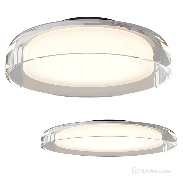 Modern Round Transparent Ceiling Lights With Sleek Design And White Illumination 3d model 