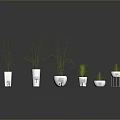 Slender Green Plants in Various White Flower Pots for Modern Indoor Decor
