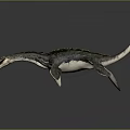 Detailed Plesiosaur Dinosaur Model With Long Neck Flippers Scaly Skin And Open Mouth