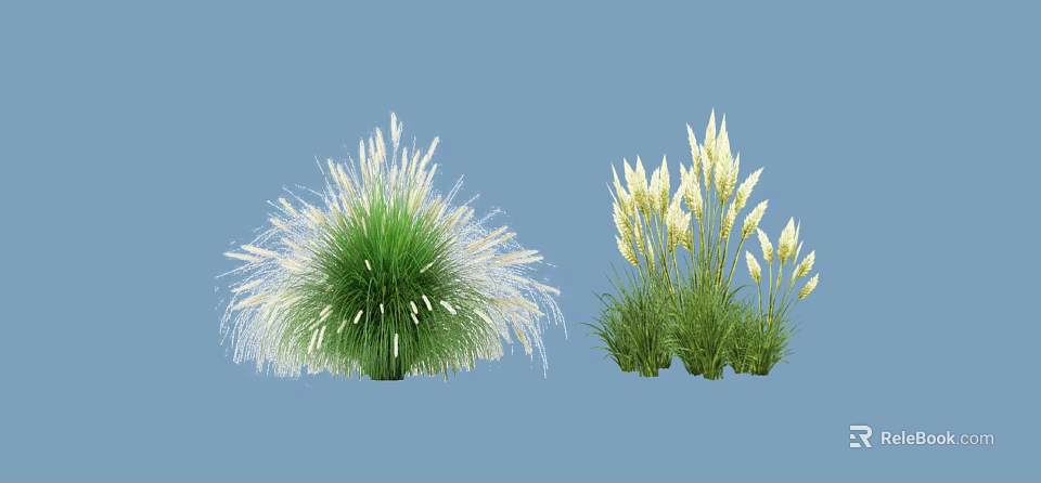 Green Leaf Herb Plants With White Feathery Flowers And Yellow Spike Blooms 3d model 