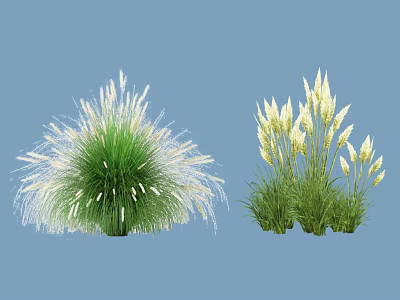 Green Leaf Herb Plants With White Feathery Flowers And Yellow Spike Blooms 3d model