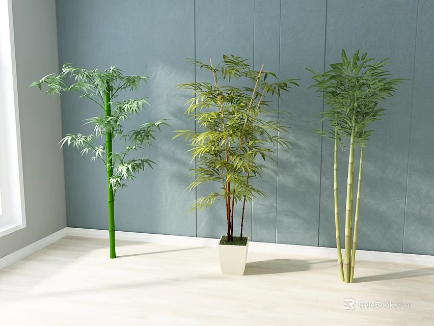 Three Bamboo Plants Indoor Decoration Near Window Against Gray Wall With White Floor 3d model 