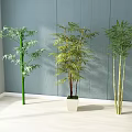 Three Bamboo Plants Indoor Decoration Near Window Against Gray Wall With White Floor