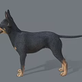 Black and Tan Dog With Erect Ears Standing In 3D Render Against Gray Background
