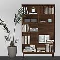 Stylish Wooden Bookshelf With Books Small Plant Radio Photo Frame And Large Potted Plant Beside