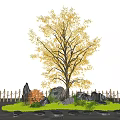 Ginkgo Tree With Yellow Leaves Surrounded By Rocks Small Plants Bamboo Fence And Sandy Ground