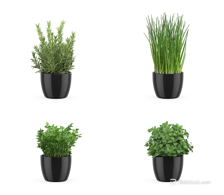 Various Green Potted Plants in Black Pots for Home Decoration 3d model 