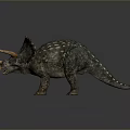 Realistic Triceratops Dinosaur Model With Detailed Skin Texture And Brown Horns