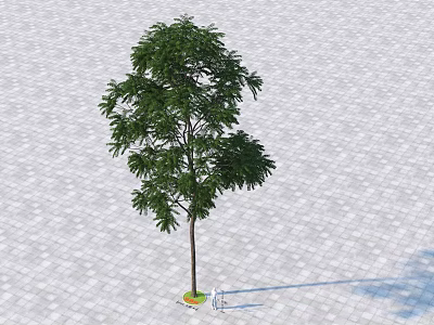 Solitary Arbor With Dense Green Foliage And Erect Trunk On Brick Paved Ground 3d model