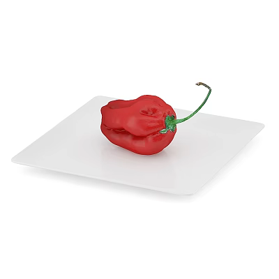 Single Red Chili Pepper with Green Stem on White Square Plate 3d model Single Red Chili Pepper with Green Stem on White Square Plate 3d model