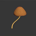 Orange Mushroom Plant With Curved Stem And Ribbed Cap On Gray Gradient Background With Reflection