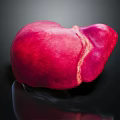 Abdominal Organ Human Liver Red Colored Anatomical Structure With Smooth Surface Isolated On Black Background