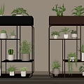 Garden Decor Multi Tiered Black And Brown Plant Stands With Potted Green Plants Indoor
