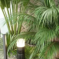 Lush Indoor Green Plant Wall Decor With Diverse Plants And Illuminated Lamps