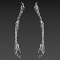 Mythical Creature Skeleton Legs Featuring Clawed Feet And Complex Bony Structure 3d model