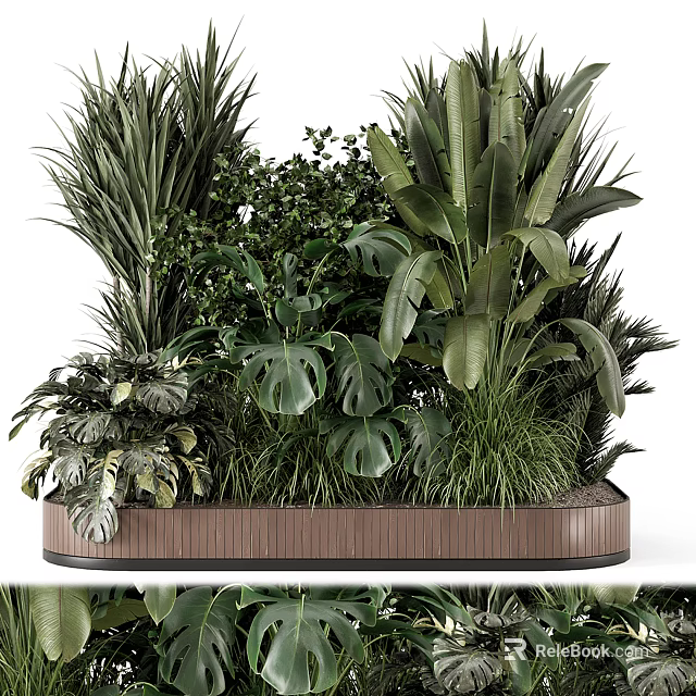 Bonsai Potted Plants With Assorted Green Leafy Species In Decorative Wooden Container 3d model 