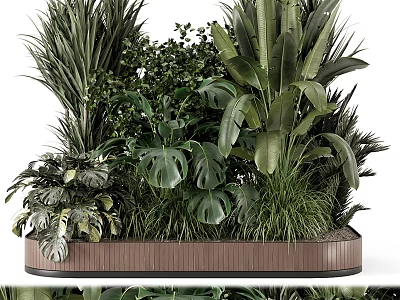Bonsai Potted Plants With Assorted Green Leafy Species In Decorative Wooden Container 3d model