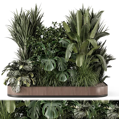 Bonsai Potted Plants With Assorted Green Leafy Species In Decorative Wooden Container 3d model