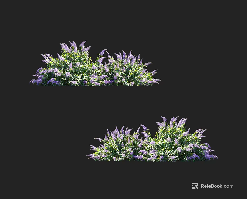 Lush Garden Shrubs with Purple Flowers and Green Leaves in Full Bloom 3d model 