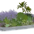 Marble Flower Planter With Purple Flowers Green Shrubs And Palm Leaves