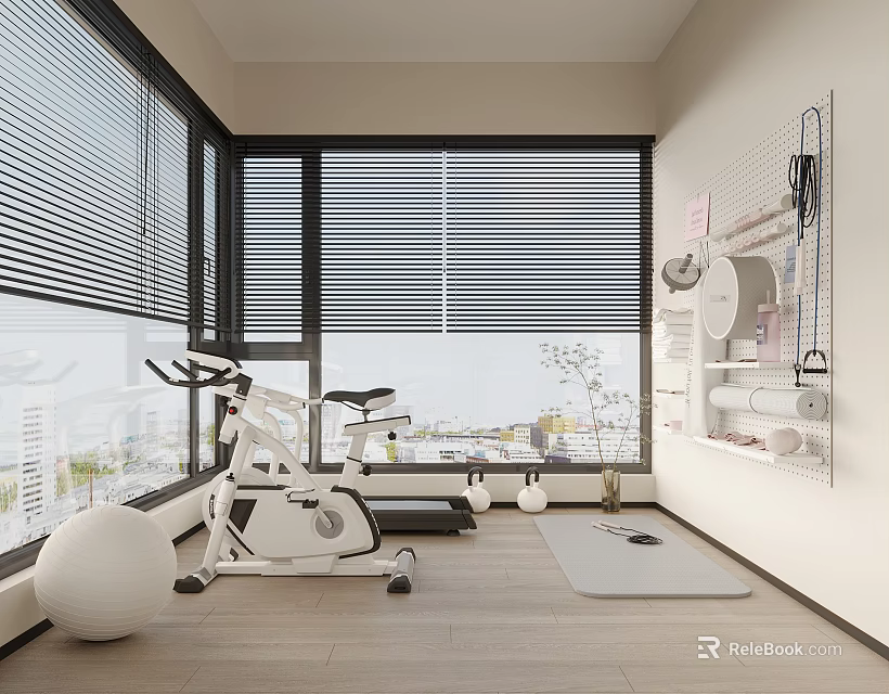 Home Entertainment Room Interior With Exercise Bike Yoga Mat Large Windows Blinds And City View 3d model 