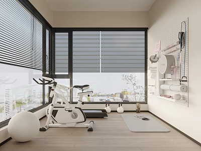 Home Entertainment Room Interior With Exercise Bike Yoga Mat Large Windows Blinds And City View 3d model