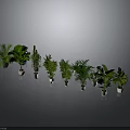 Various Types of Potted Plants Arranged On Gray Background With Lush Green Leaves
