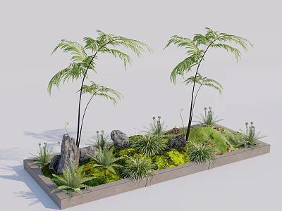Tranquil Garden Landscape In Square Concrete Planter With Tall Ferns Rocks Moss And Small Plants 3d model
