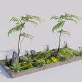 Tranquil Garden Landscape In Square Concrete Planter With Tall Ferns Rocks Moss And Small Plants