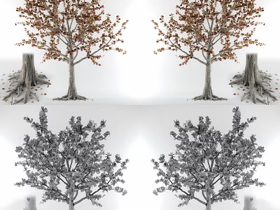 Trees with Red and Green Foliage and Exposed Roots Near Stumps 3d model