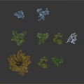 Different Types of Trees with Various Colors and Shapes on Gray Background