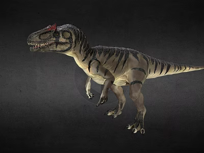 Realistic Striped Dinosaur 3D Model With Red Head And Sharp Teeth 3d model