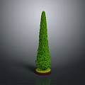 Tall Conical Green Potted Plant With Round Base For Garden Decoration